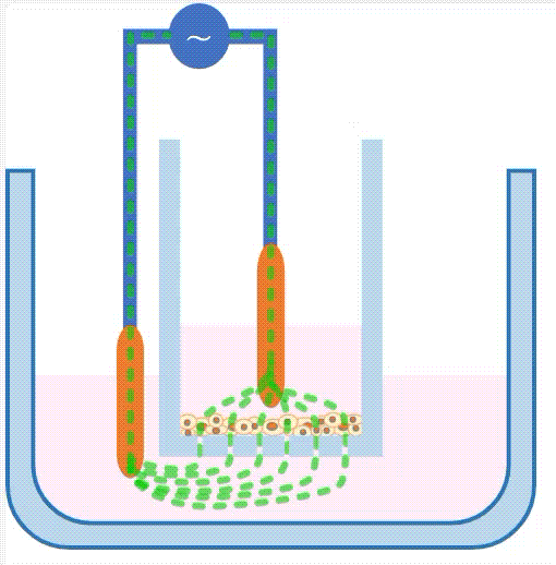 C+K CellSpectrometer CSM 2100